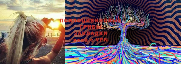 кокаин премиум Коряжма